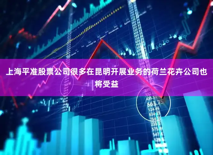 上海平准股票公司很多在昆明开展业务的荷兰花卉公司也将受益